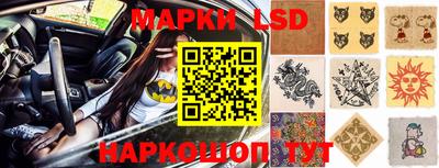 индика Будённовск