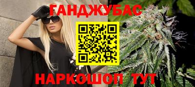 индика Будённовск