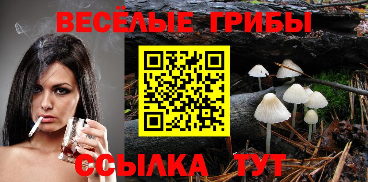Кропоткин  где продают наркотики  Галлюциногенные грибы Psilocybe  Вход с VPN  Галлюциногенные грибы Magic Shrooms 